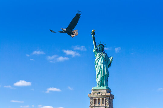 Freedom soaring like eagles, conceptual image