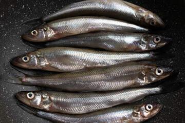 Fresh smelt fish close-up, top view.