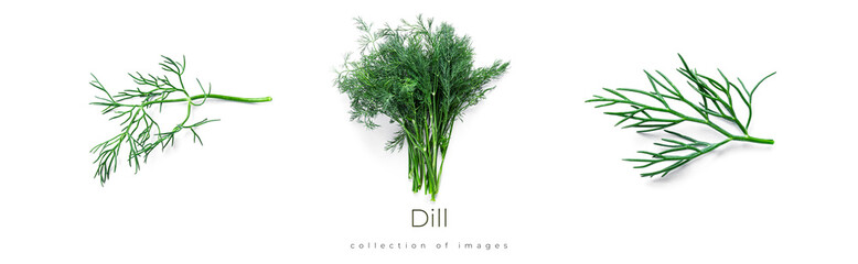 Dill isolated on a white background.