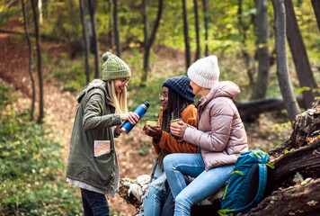 Three female friends having fun and enjoying hiking in forest.