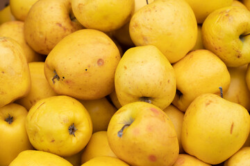 apples on the counter in the store