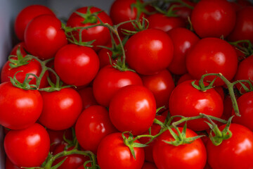 Vegetables on store shelves