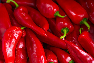 Vegetables on store shelves