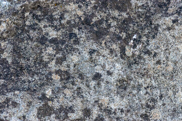 gray and black speckled stone texture