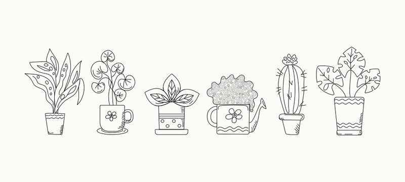 Set Home plant in a pot Doodle style. Indoor flowers and a watering can. Pot plant. Vector illustration with hand drawn lettering.