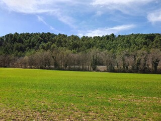 Meyrargues est une commune française, située dans le département des Bouches-du-Rhône en région Provence-Alpes-Côte d'Azur. Elle fait partie de la métropol