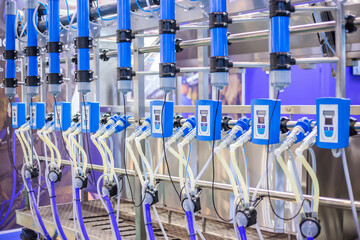 Automated goat milking suction machine with teat cups at cattle dairy farm, exhibition, trade show....