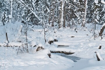 A frozen forest stream on the island of Frösön in Sweden in winter scenery
