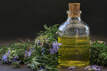 Obraz na płótnie Canvas Rosemary oil and rosemary herb in glass bottle; Rosmarinus