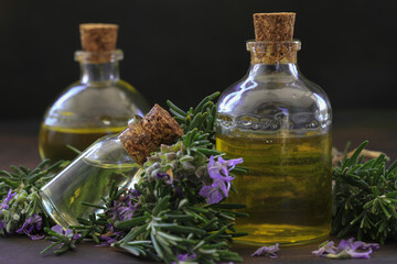 Rosemary oil and rosemary herb in glass bottle; Rosmarinus