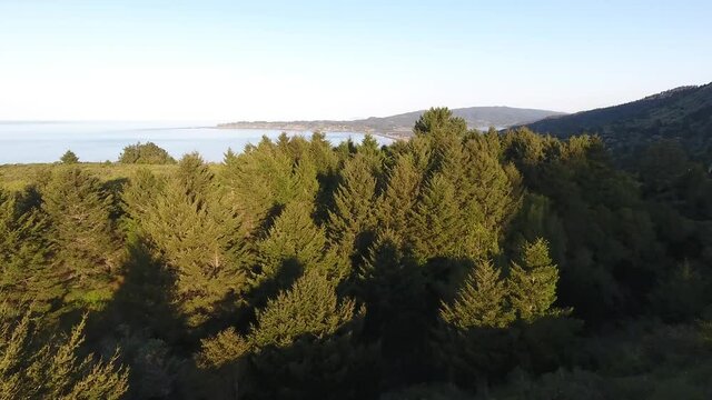 Stinson Beach View from Inland Forest Calm Monring California Drone Aerial View