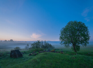 Twilight misty field landscape at summertime.