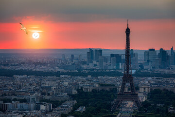 Obraz premium View of Paris with Eiffel Tower from Montparnasse building. Eiffel tower view with flying birds from Montparnasse at sunset, view of the Eiffel Tower and La Defense district in Paris, France.
