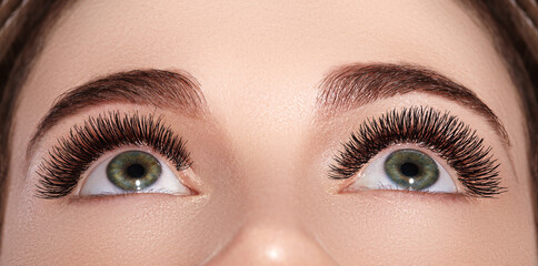 Obraz premium Beautiful Macro Female Eye with Extreme Long Eyelashes and Celebrate Makeup. Perfect Shape Make-up, Fashion Long Lashes