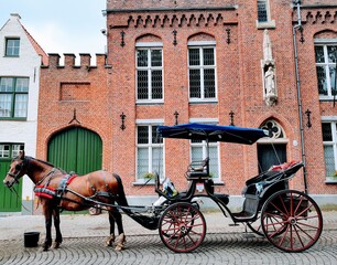 horse carriage