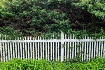 Fototapeta premium white fence and green grass