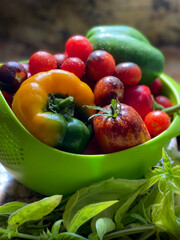Fresh home grown healthy vegetable harvest of tomatoes peppers and basil rinsed and sitting on table in strainer
