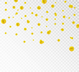 Bitcoin gold coin drops realistically with many coins. Isolated on transparent background.