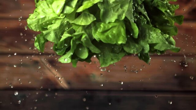 Super slow motion with lettuce leaves dropping drops of water.Filmed on a high-speed camera at 1000 fps. On a wooden background.