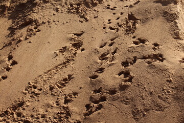 Sand gelb 