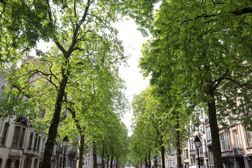 Schöne Altbaufassaden in Brüssel