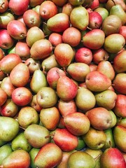 Large pile of ripe pears on market counter. Food background and pear harvest concept.