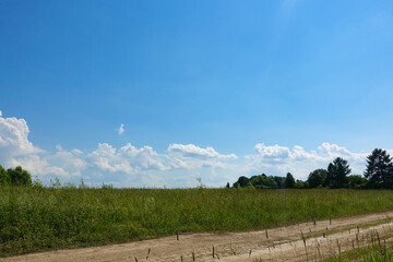 Obraz premium Meadow with green grass and blue sky with clouds