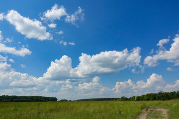 Fototapeta na wymiar Meadow with green grass and blue sky with clouds