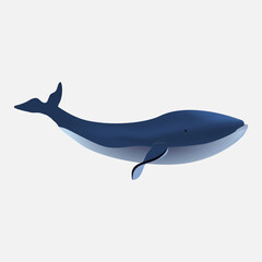 Big blue whale icon isolated on white background. Vector ocean fish illustration. Vector illustration