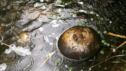 Piedras en el rio