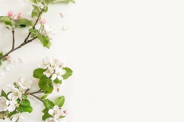 Flowers composition. Apple tree flowers on white background. Spring concept. Flat lay, top view, copy space.