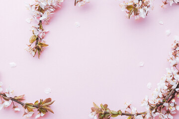 Obraz na płótnie Canvas Cherry tree blossom. April floral nature and spring sakura blossom on soft pink background. Banner for 8 march, Happy Easter with place for text. Springtime concept. Top view. Flat lay.