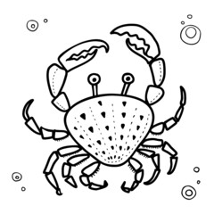 Crab spider cartoon. Marine animal Crab. Doodle style vector illustration
