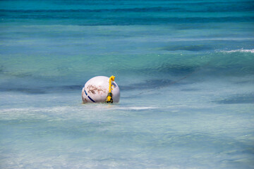 A round white buoy with a blue stripe and a yellow rope attached bobs up and down in small waves in Carlisle Bay, Barbados, one of the most popular snorkelling spots on the island.