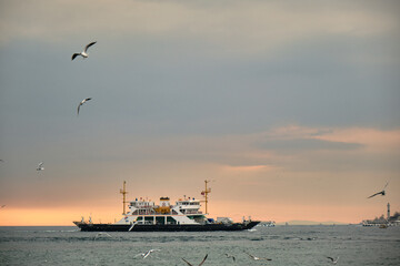 Obraz premium Internal transportation ships and ferry on the golden horn with many seagulls after sunset and overcast sky background in bosphorus in Istanbul. Turkey. Istanbul. 01.03.2021.