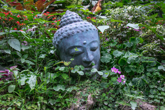 Image of a sleeping buddha grey-blue stone sculpture laying peacefully in a bright green vibrant garden among pink flowers on the East coast of Barbados, the Caribbean, at botanical gardens.