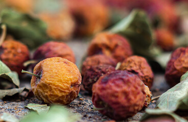 Arabian buckthorn at autumn time
