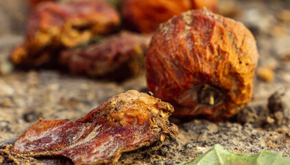 Arabian buckthorn at autumn time
