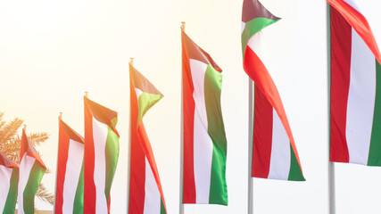 Multiple Kuwait national flags flying during the day at an event in Doha, Qatar