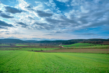 Magnificent Green grass and agricultural fields with small gravel roads far away. Nature view with magnificent clouds and small hills. Horizon separates blue sky and agricultural green fields.