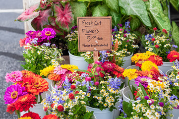 Buckets of fresh-cut colorful flowers on sale at the local market.
