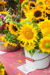 Pails of freshly picked sunflowers for sale.