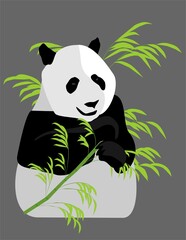 oso panda comiendo bambú - obrazy, fototapety, plakaty