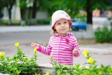 Cute little girl playing in sunny summer park. Toddler kid playing with a flowers. Kids play outdoors. Preschooler in school yard on warm day.