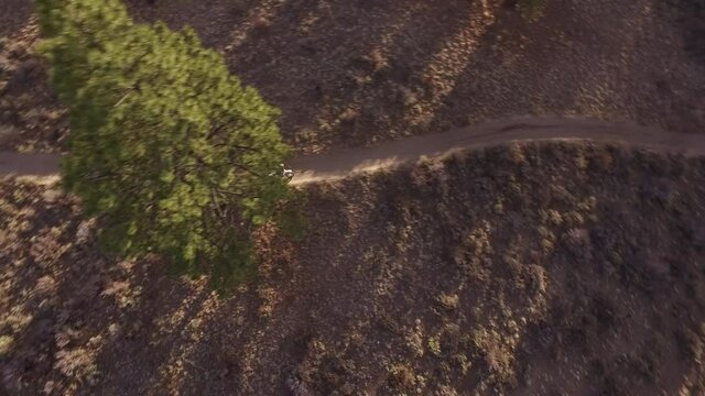 Dirt bike riding on desert trail through trees and sage brush. Bend Oregon