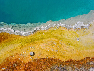 yellow algae on calcium deposit next to the hot spring at yellowstone national park 