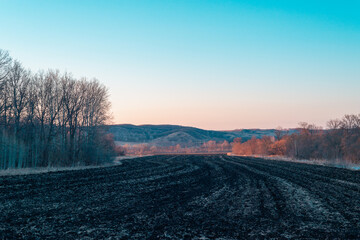 Field, mountains and forest in the evening.