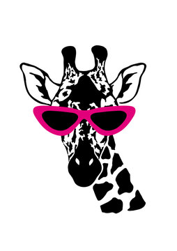 Giraffe head. Wild animal logo artwork design. Black and white vector illustration