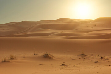 Fototapeta na wymiar Sahara.