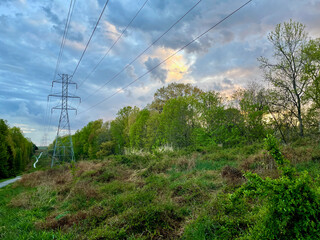 Obraz premium An ominous sky hangs over lush green foliage along a footpath in Virginia.